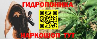 мескалин Камышлов