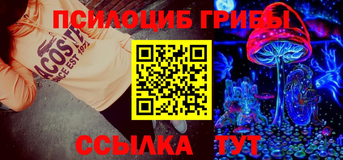 Курчатов  Галлюциногенные грибы Psilocybe  Вход с VPN 